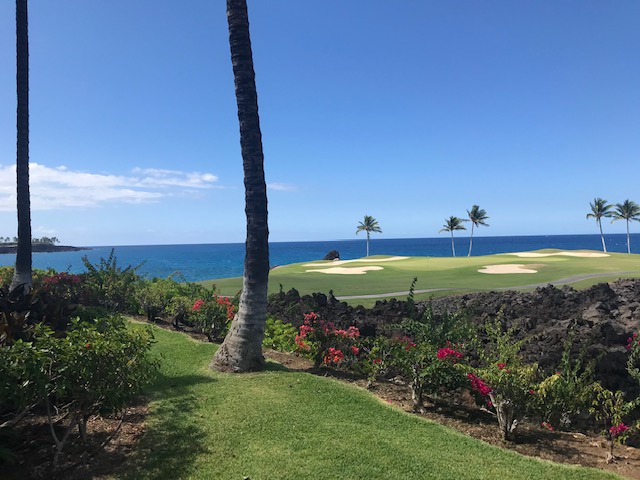 Kamuela Vacation Rentals, Mauna Lani Point B105 - Views from the resort