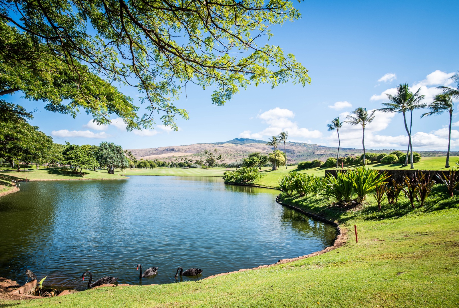 Kapolei Vacation Rentals, Fairways at Ko Olina 22H - Picturesque skies for an idyllic vacation.