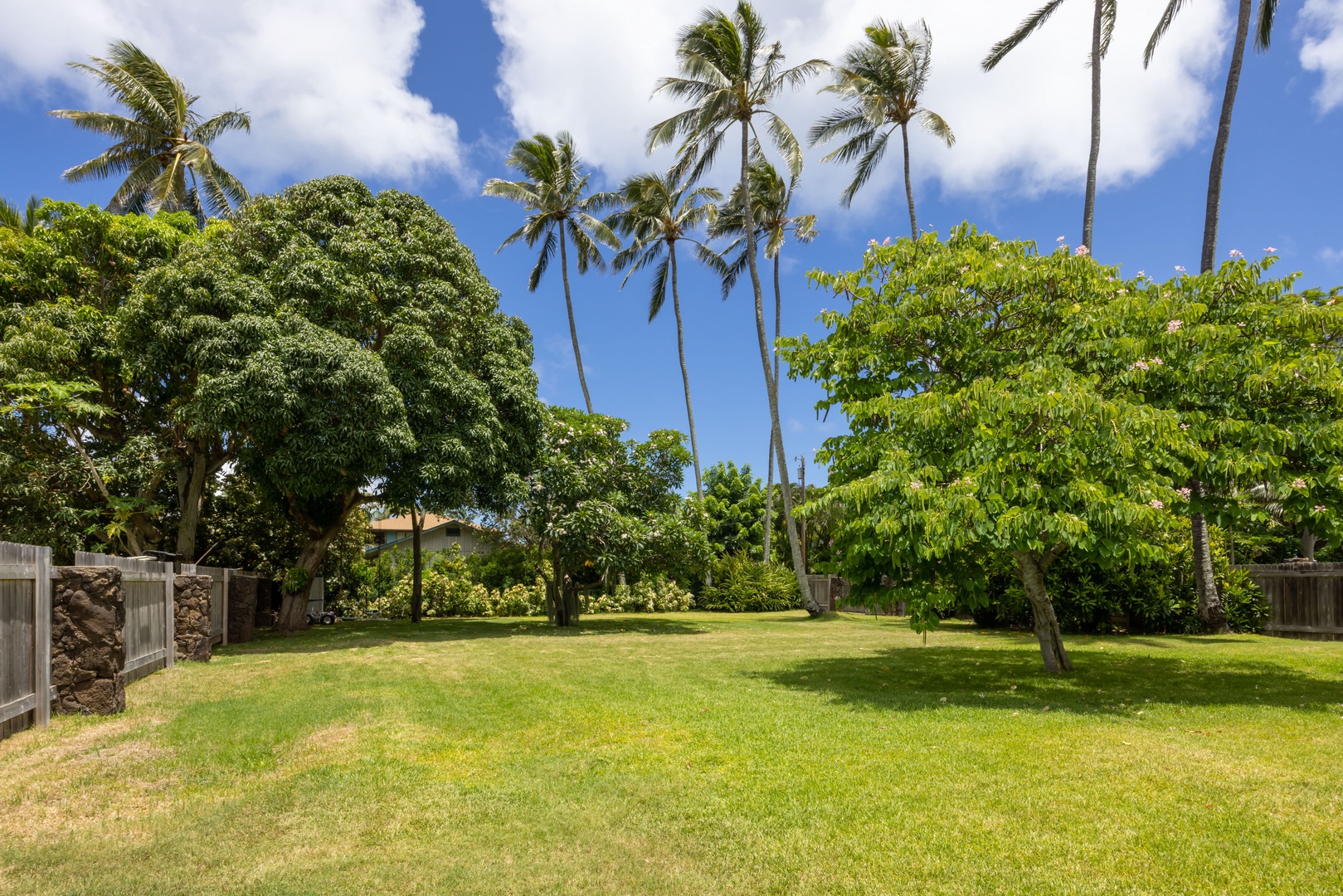 Kahuku Vacation Rentals, Hale Pellicano - The kids will love the lush green yard.