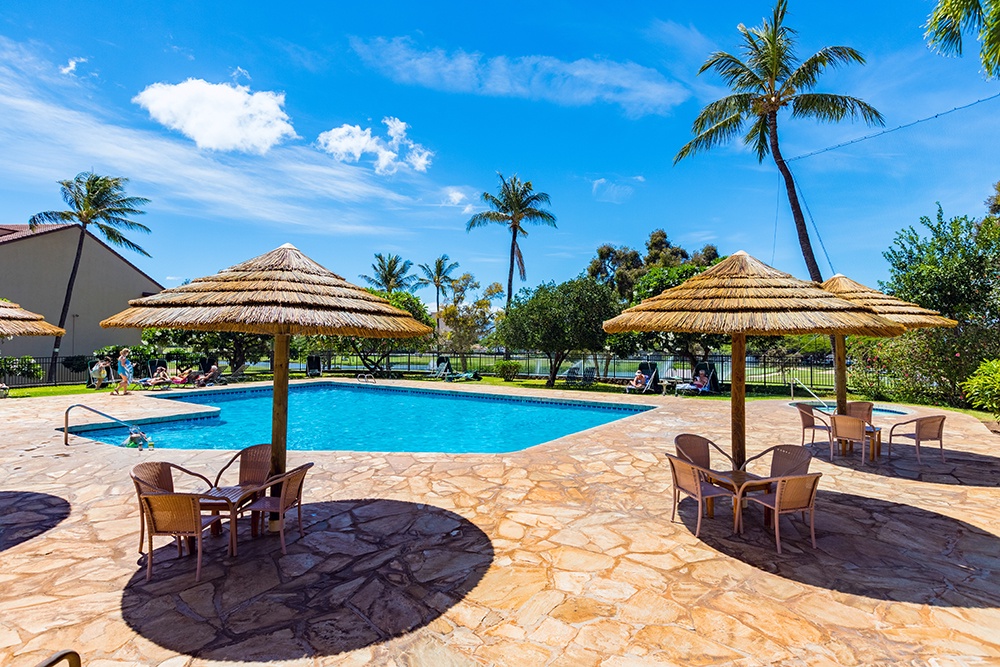 Lahaina Vacation Rentals, Kaanapali Royal Q-202 - Enjoy a refreshing drink or take a dip in the community pool.