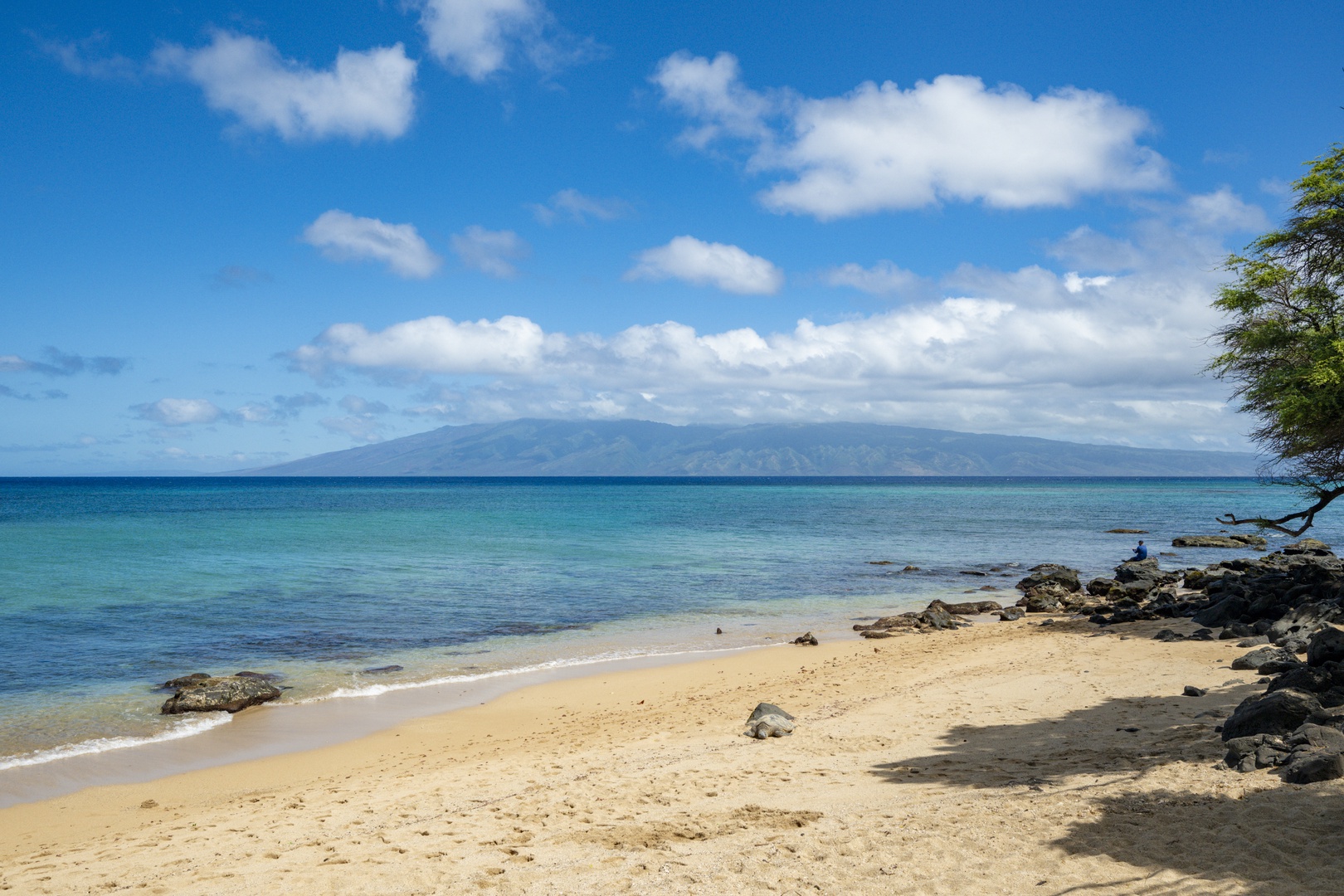 Lahaina Vacation Rentals, Kahana Villas E408 - Take a stroll at the beach.