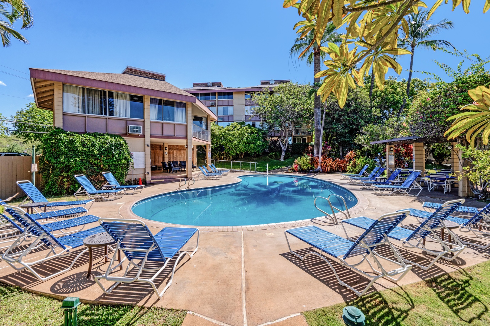Kihei Vacation Rentals, Haleakala Shores A206 - Blue loungers line the deck of the community pool so everyone to find a spot in the sun.