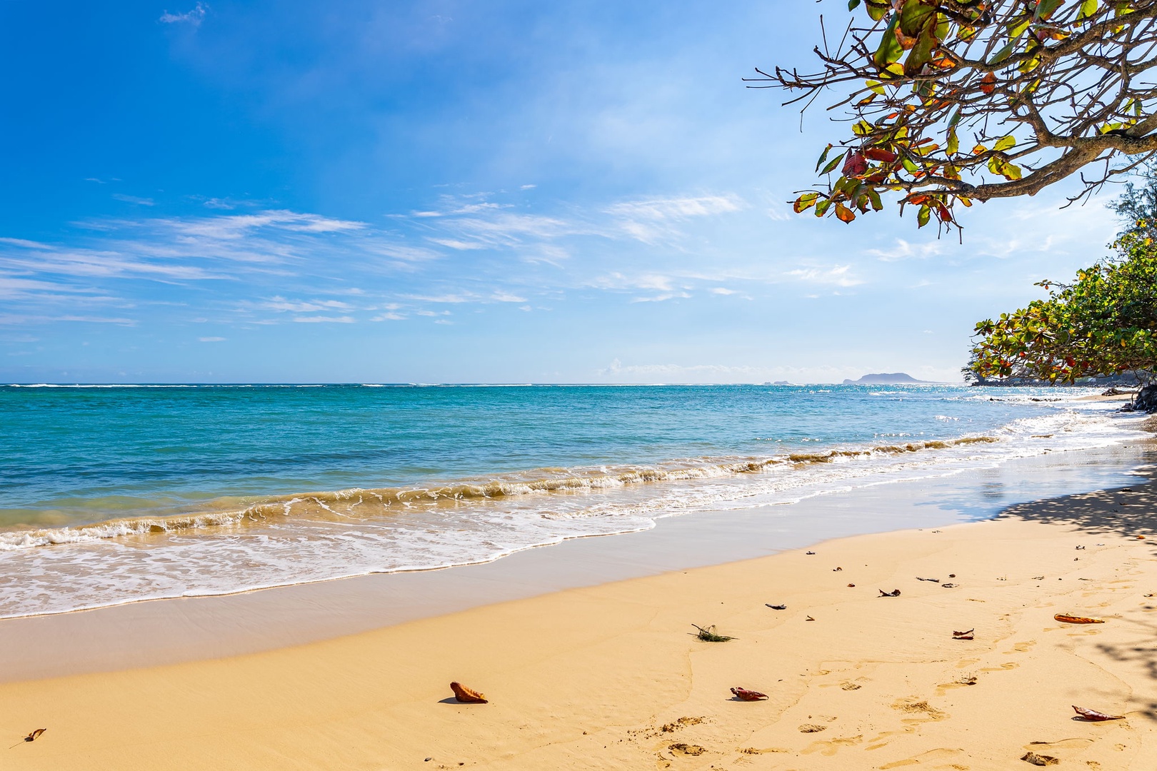 Kaaawa Vacation Rentals, Kualoa Ohia - Minutes away from amazing beaches and surf spots.