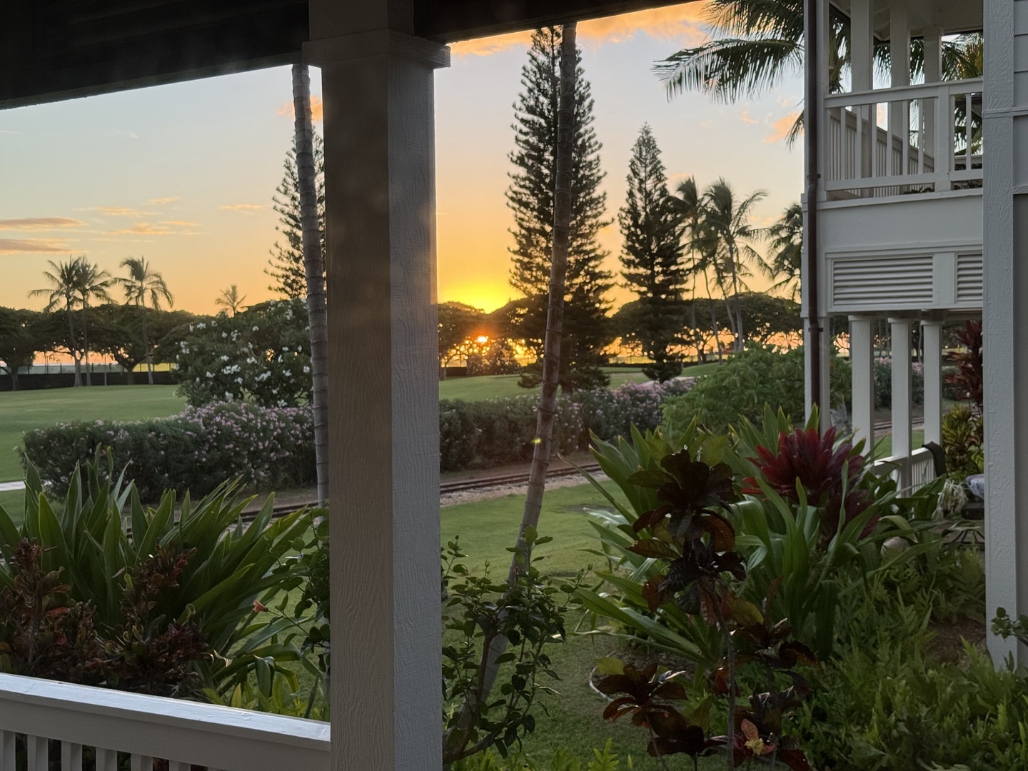Kapolei Vacation Rentals, Coconut Plantation 1080-4 - The last of the sun breaks gold through the trees at the edge of the lawn.