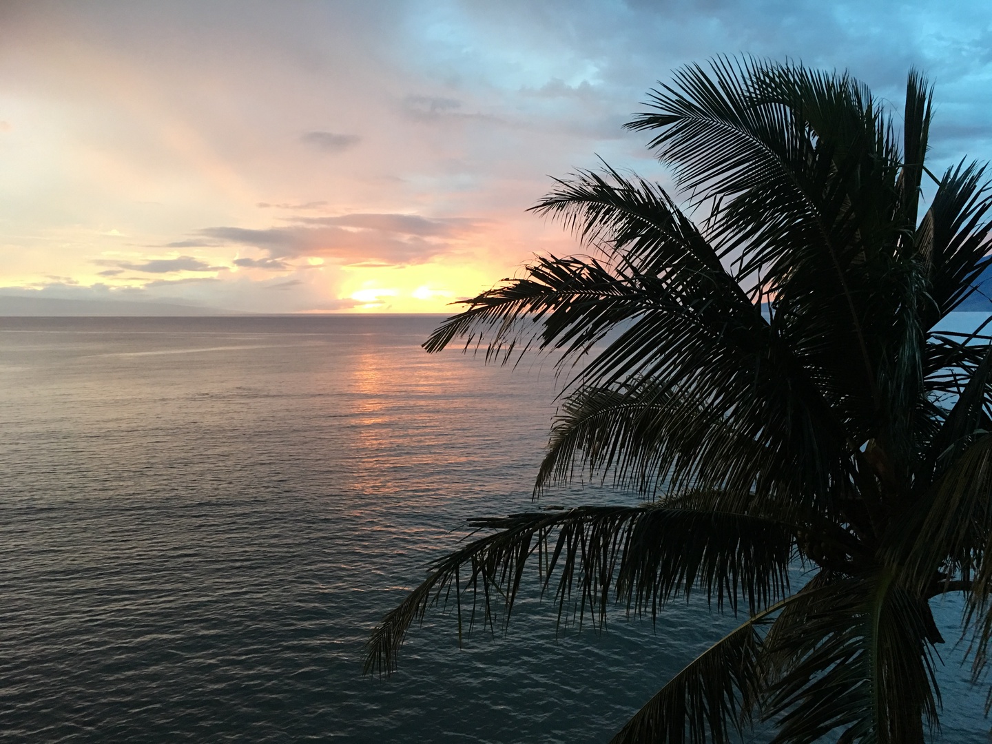 Lahaina Vacation Rentals, Royal Kahana 1010 - The silhouette of a palm tree against a peaceful sunset makes for a stunning tropical evening view.