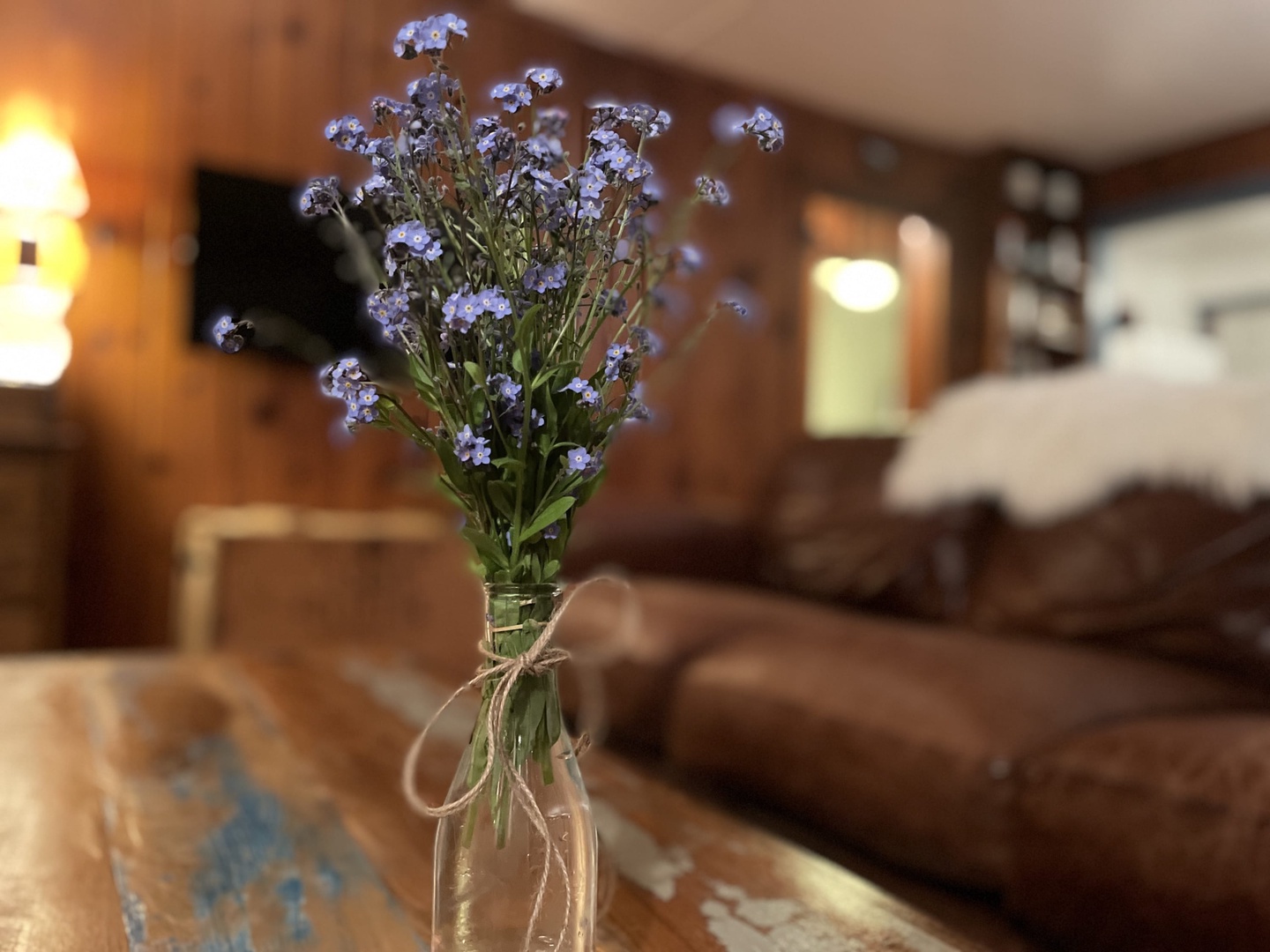 Brightwood Vacation Rentals, Springbrook Cabin - Wildflowers straight from the yard!