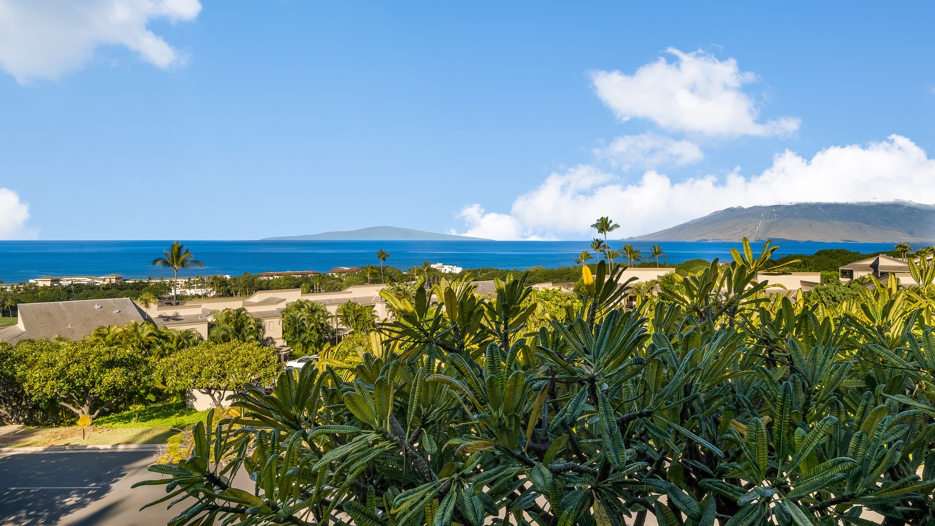 Kihei Vacation Rentals, Wailea Ekolu 1106 - Enjoy stunning ocean views from the lanai, with lush greenery and distant islands completing the serene scenery.