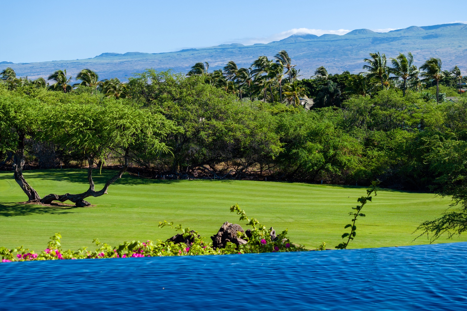 Kamuela Vacation Rentals, Canoe House at Champion Ridge - Infinity pool with vibrant greenery and mountain views in the background.