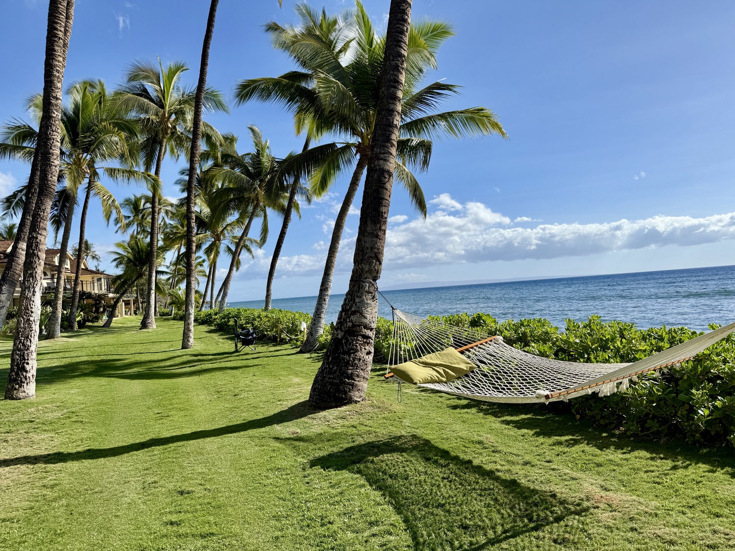 Lahaina Vacation Rentals, Puamana 254-2 - Relax in a hammock by the ocean, shaded by tall palm trees.