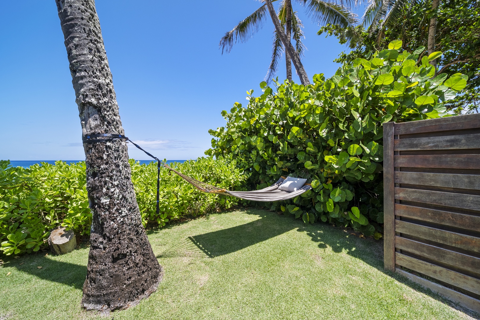 Haleiwa Vacation Rentals, Hale Nalu (Lower Level) - Relax in the hammock under swaying palms and listen to the peaceful sound of waves nearby.