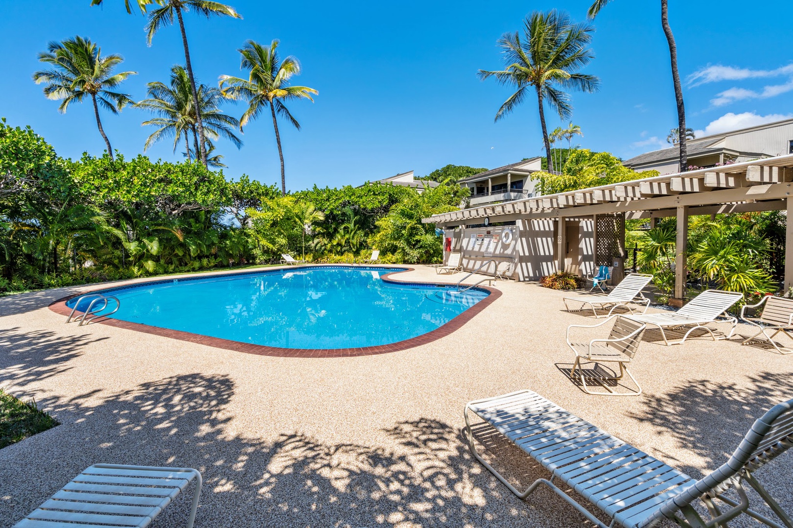 Kihei Vacation Rentals, Wailea Ekolu 204 - The shared pool stays quiet most mornings, dappled palm shade the only company on the deck.