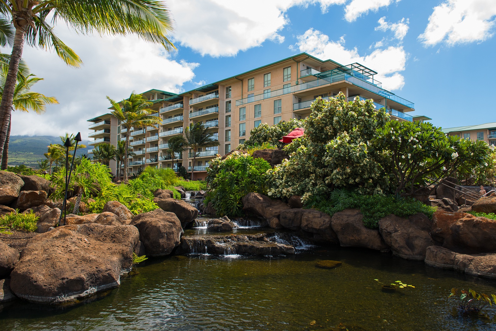 Lahaina Vacation Rentals, Honua Kai Konea 204 - Tranquil koi ponds and gardens add serenity around the Hokulani tower near Honua Kai Konea 204.
