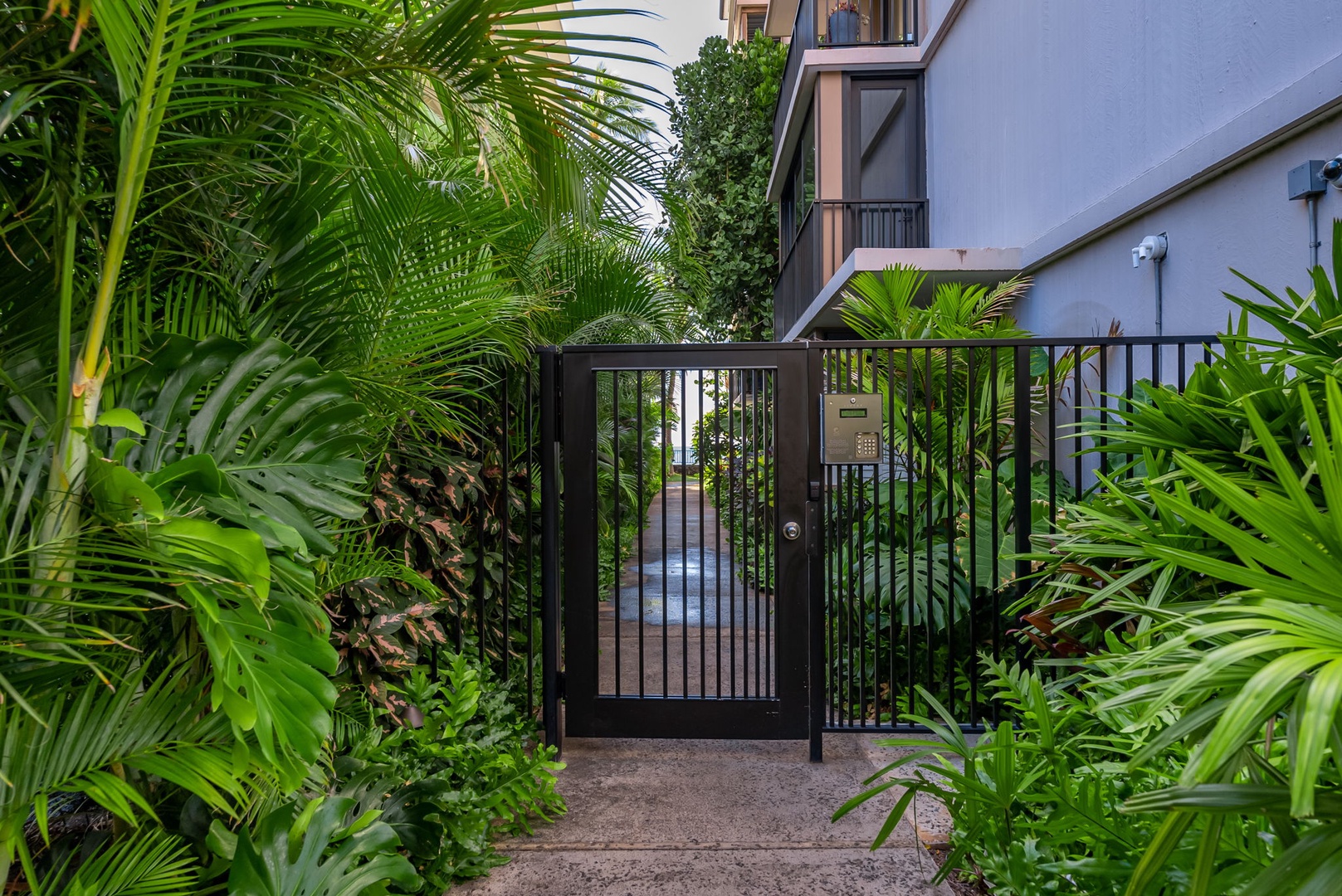 Honolulu Vacation Rentals, Kaimana Views - Private gated entry surrounded by tropical plants, offering a secluded and secure entrance to your island getaway.