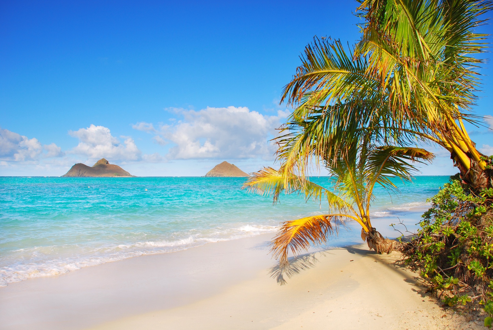 Kailua Vacation Rentals, Hale Alapi'i Lanikai Getaway - Serene white-sand beaches lined with swaying palms on O?ahu’s coast.