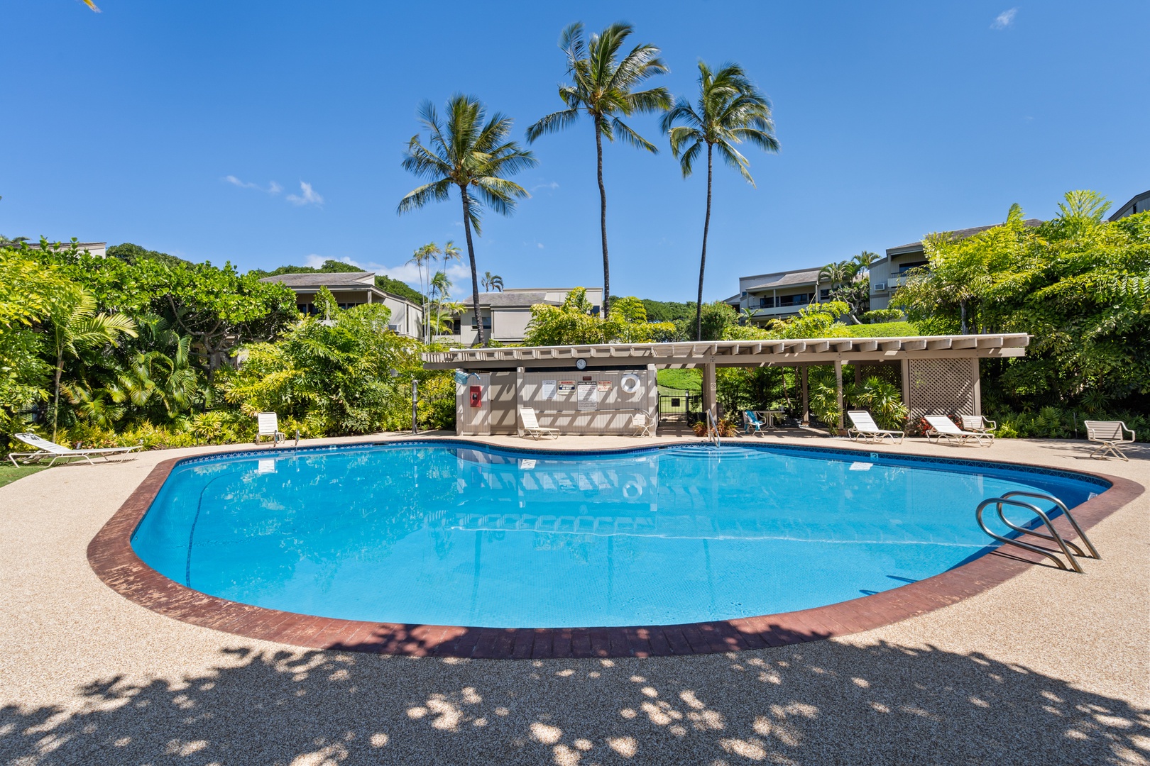 Kihei Vacation Rentals, Wailea Ekolu 204 - Three coconut palms rise above the shared pool, marking the spot where the whole building gathers.