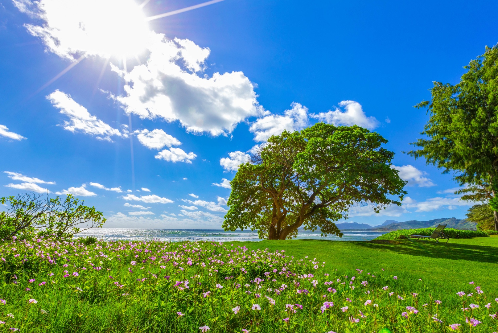 Kapa'a Vacation Rentals, Islander on the Beach #232 - Enjoy the lush green scenery.