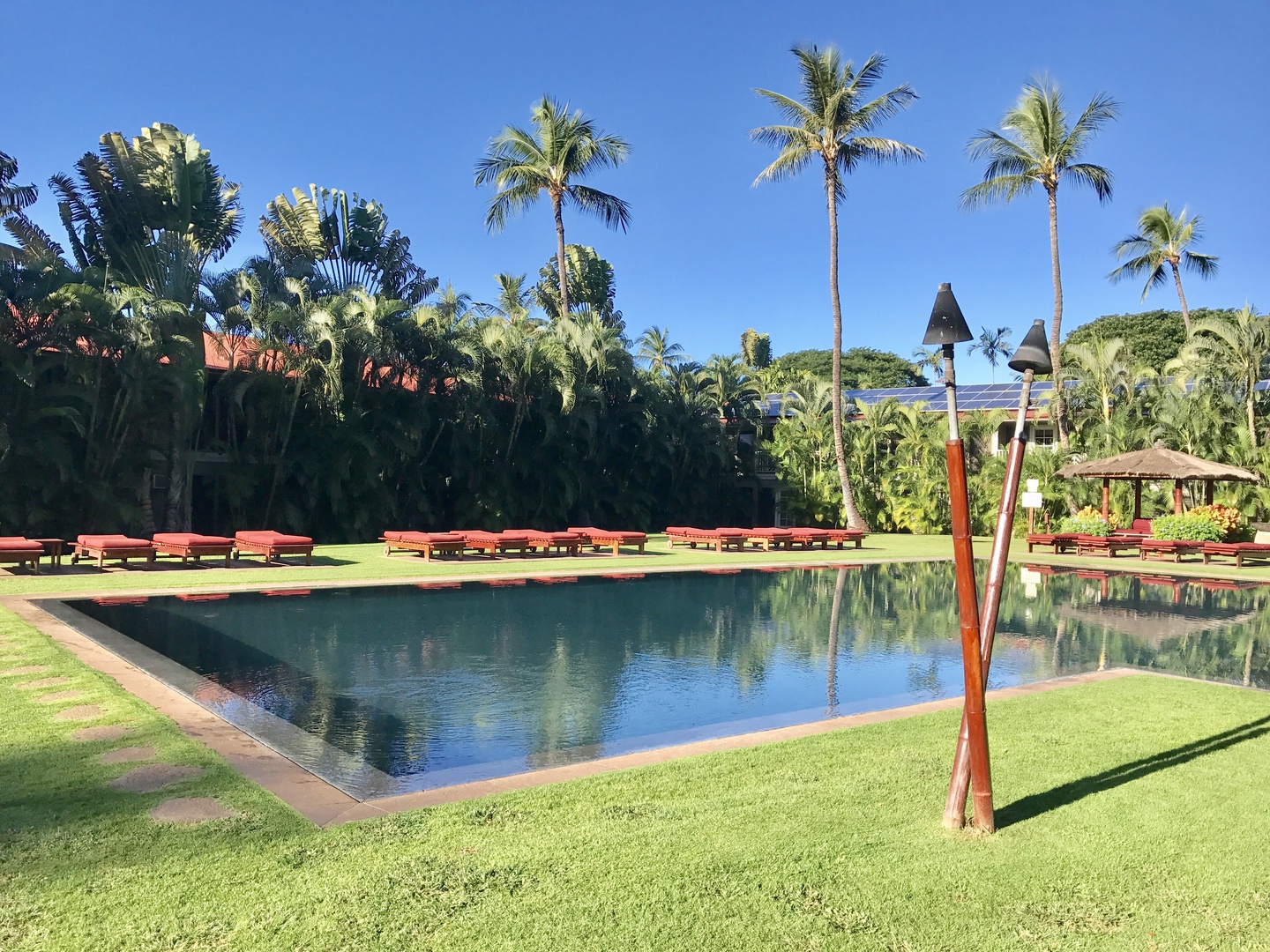 Lahaina Vacation Rentals, Aina Nalu D103 - Lounge in the sun and take a dip in the pool when you're ready to cool off