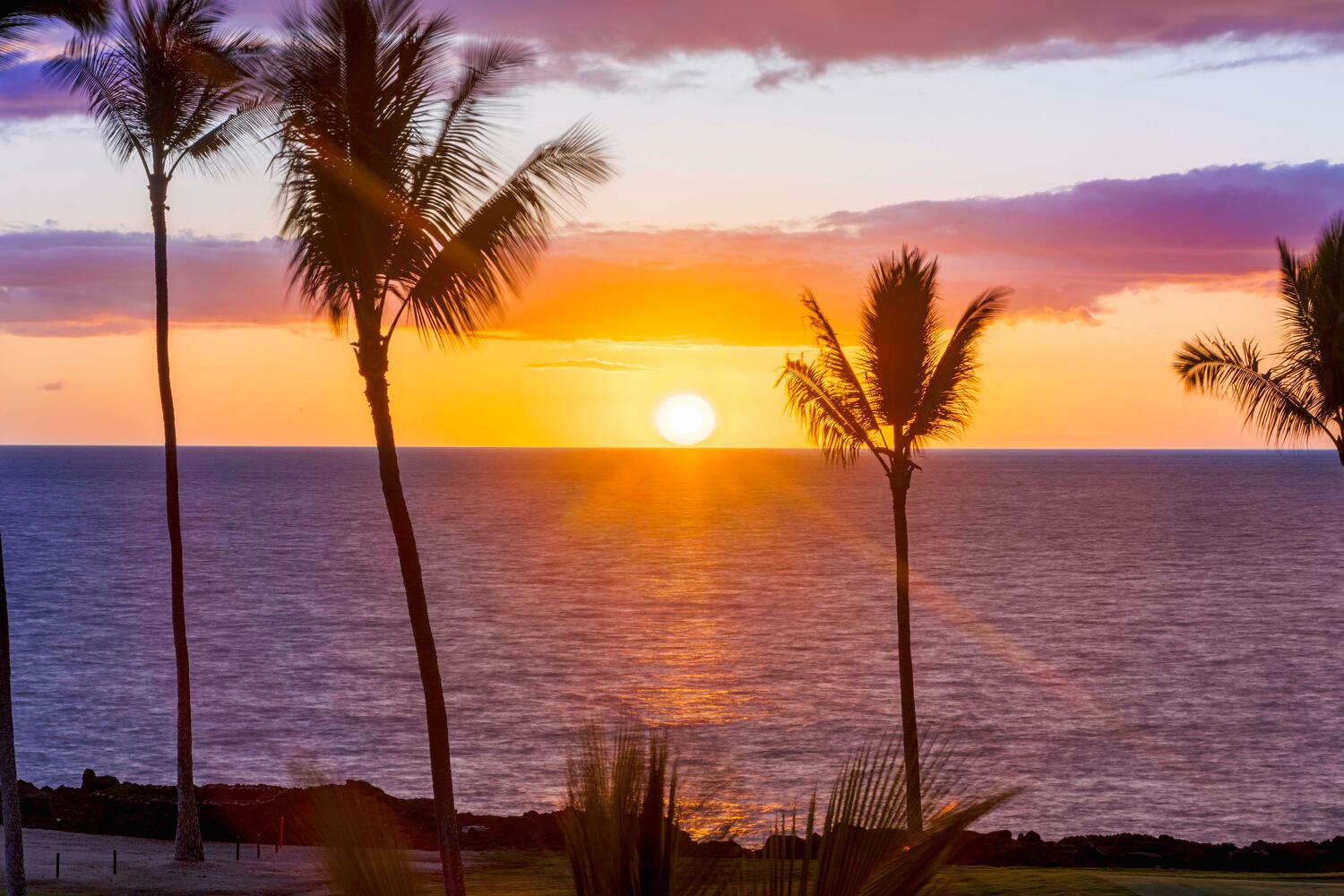 Kailua-Kona Vacation Rentals, Holua Kai #26 - Captivating sunset view framed by swaying palm trees over the ocean, creating a picture-perfect end to the day