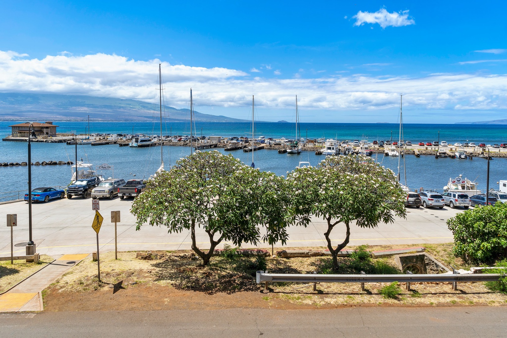 Wailuku Vacation Rentals, Milowai 310 - Sailboats bob in Maalaea Harbor beneath blue skies, flowering trees framing the foreground.