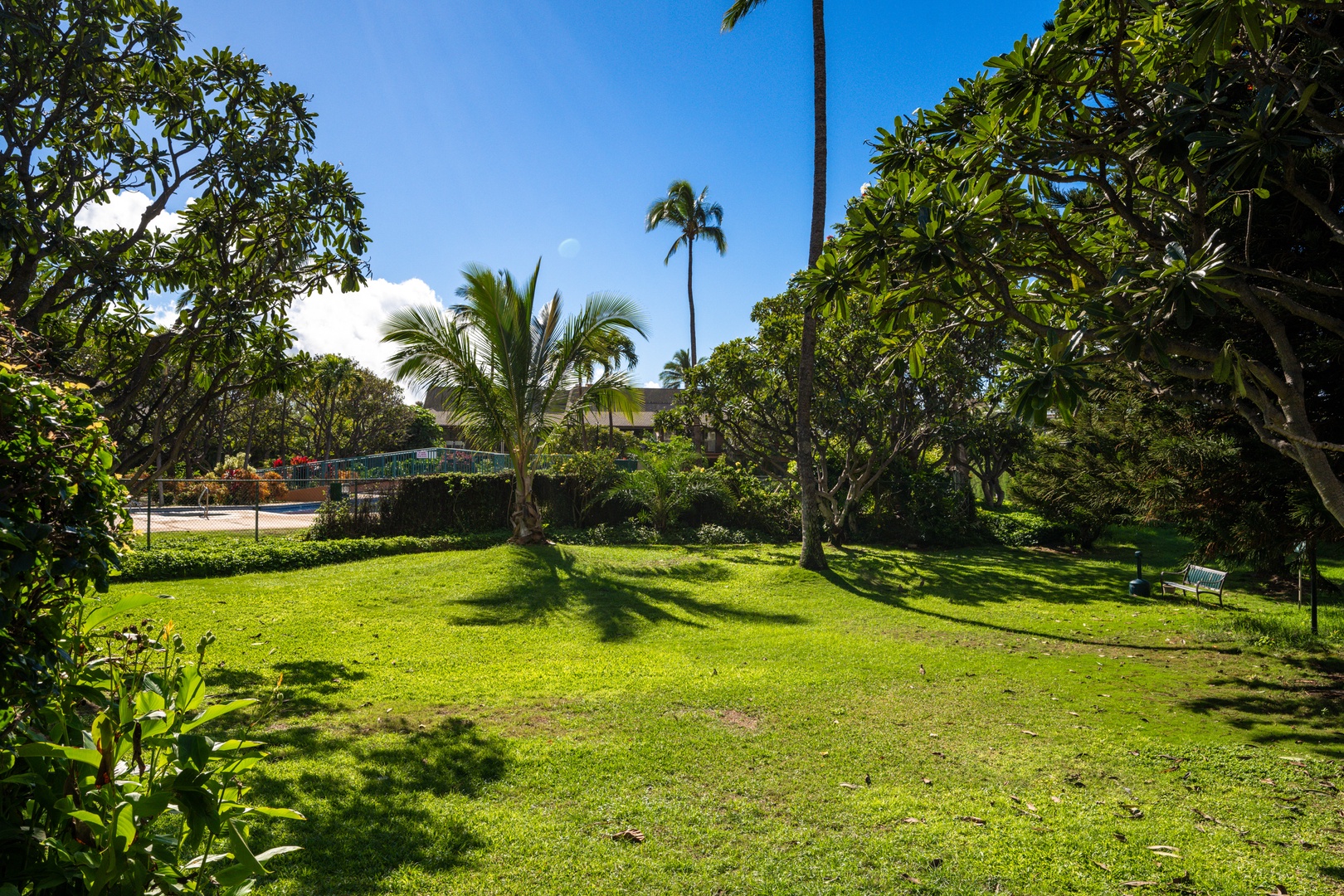 Kihei Vacation Rentals, Koa Resort 1B - Stroll through the lush five-acre grounds filled with palms, open lawns, and tropical plants.