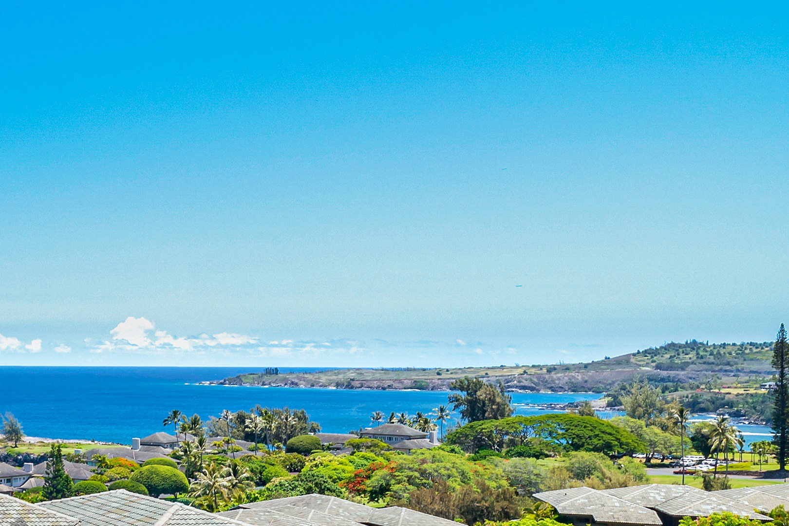 Lahaina Vacation Rentals, Kapalua Ridge 1421 - Enjoy breathtaking ocean views from this scenic vantage point, where the rolling blue waves meet lush greenery, offering a serene and picturesque escape.