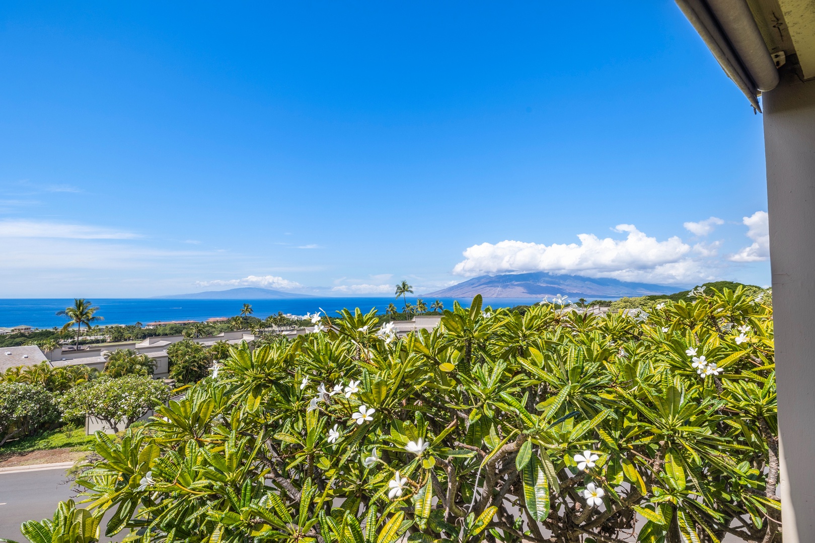 Kihei Vacation Rentals, Wailea Ekolu 1106 - Stunning view of the ocean with clear blue skies, framed by palm trees swaying in the breeze, offering a peaceful and tropical atmosphere