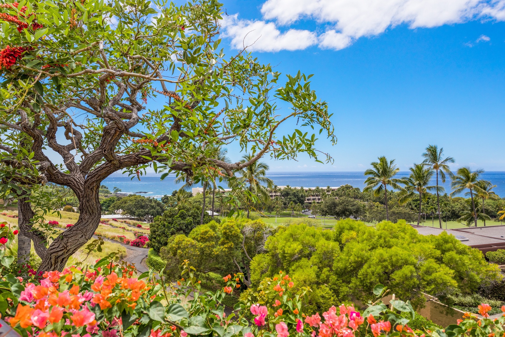 Kamuela Vacation Rentals, 4BD Villas (21) at Mauna Kea Resort - Ocean View from Lanai.