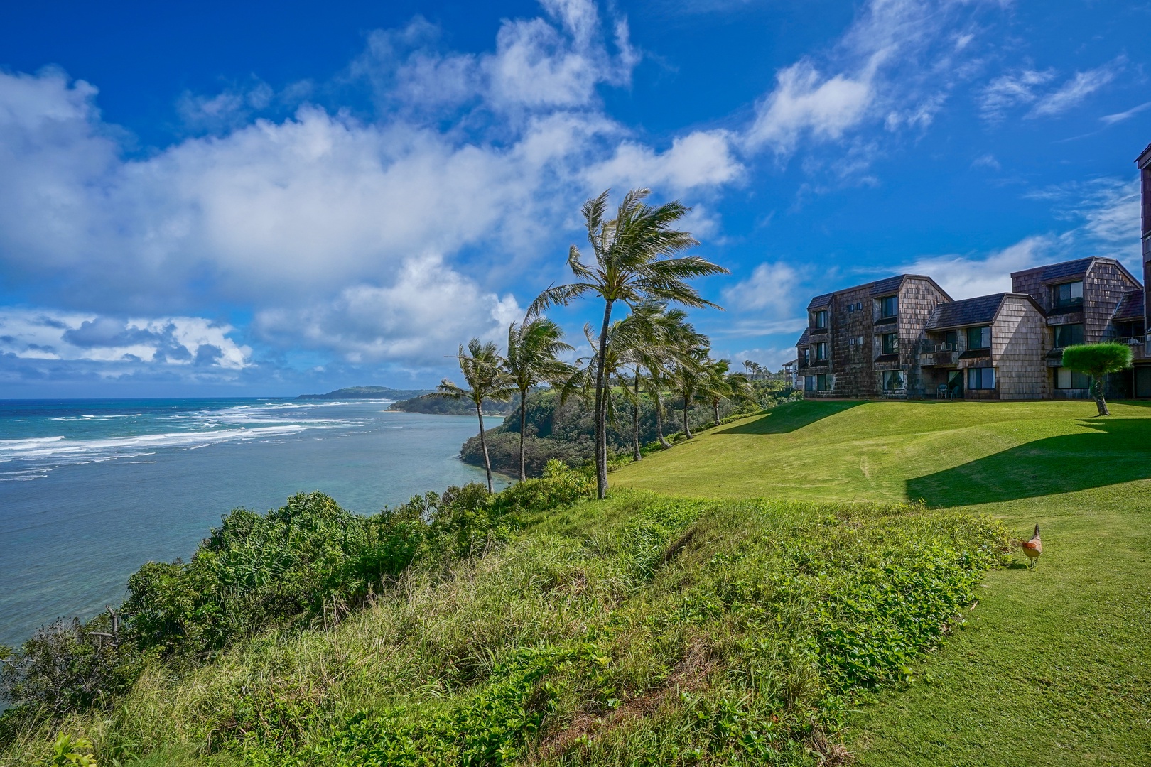Princeville Vacation Rentals, Sealodge Villa H5 - Stroll around the grounds