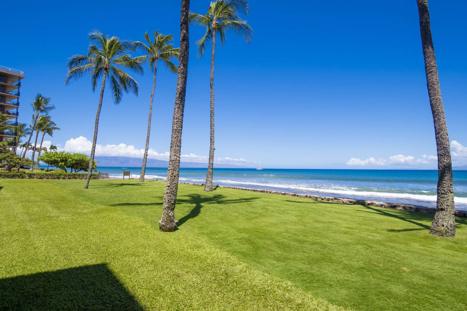 Lahaina Vacation Rentals, Papakea B-105 - Perfect for a morning walk or simply enjoying the ocean breeze under swaying palm trees.