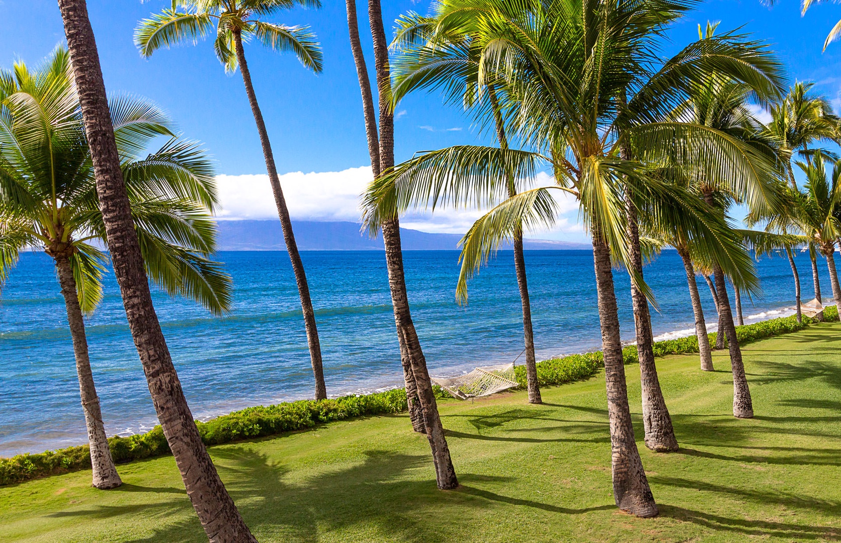 Lahaina Vacation Rentals, Puamana 240-3 - A lush green lawn meets the serene blue waters, perfect for relaxation.