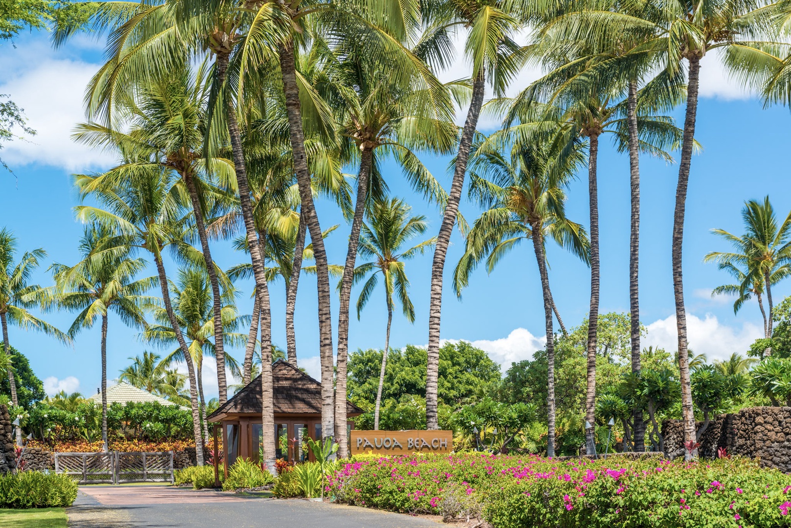 Kamuela Vacation Rentals, 3BD Na Hale 3 at Pauoa Beach Club at Mauna Lani Resort - Tropical pathway lined with palm trees leading to the gazebo.