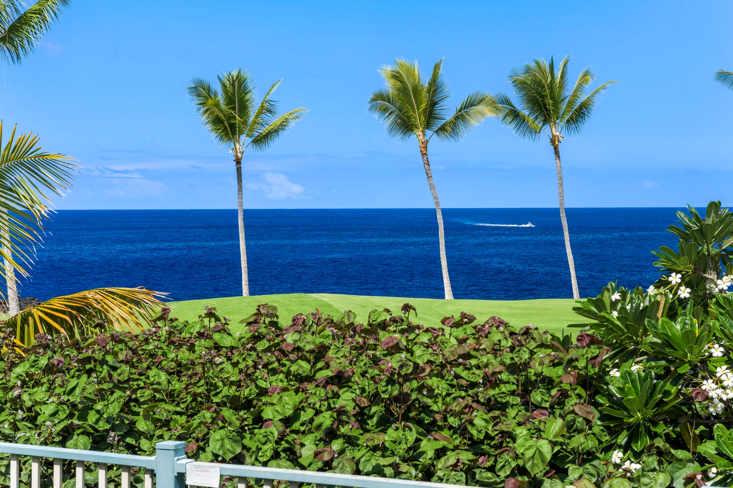 Kailua-Kona Vacation Rentals, Holua Kai #26 - Idyllic coastal view featuring tall palm trees against a clear blue ocean, perfect for peaceful moments.