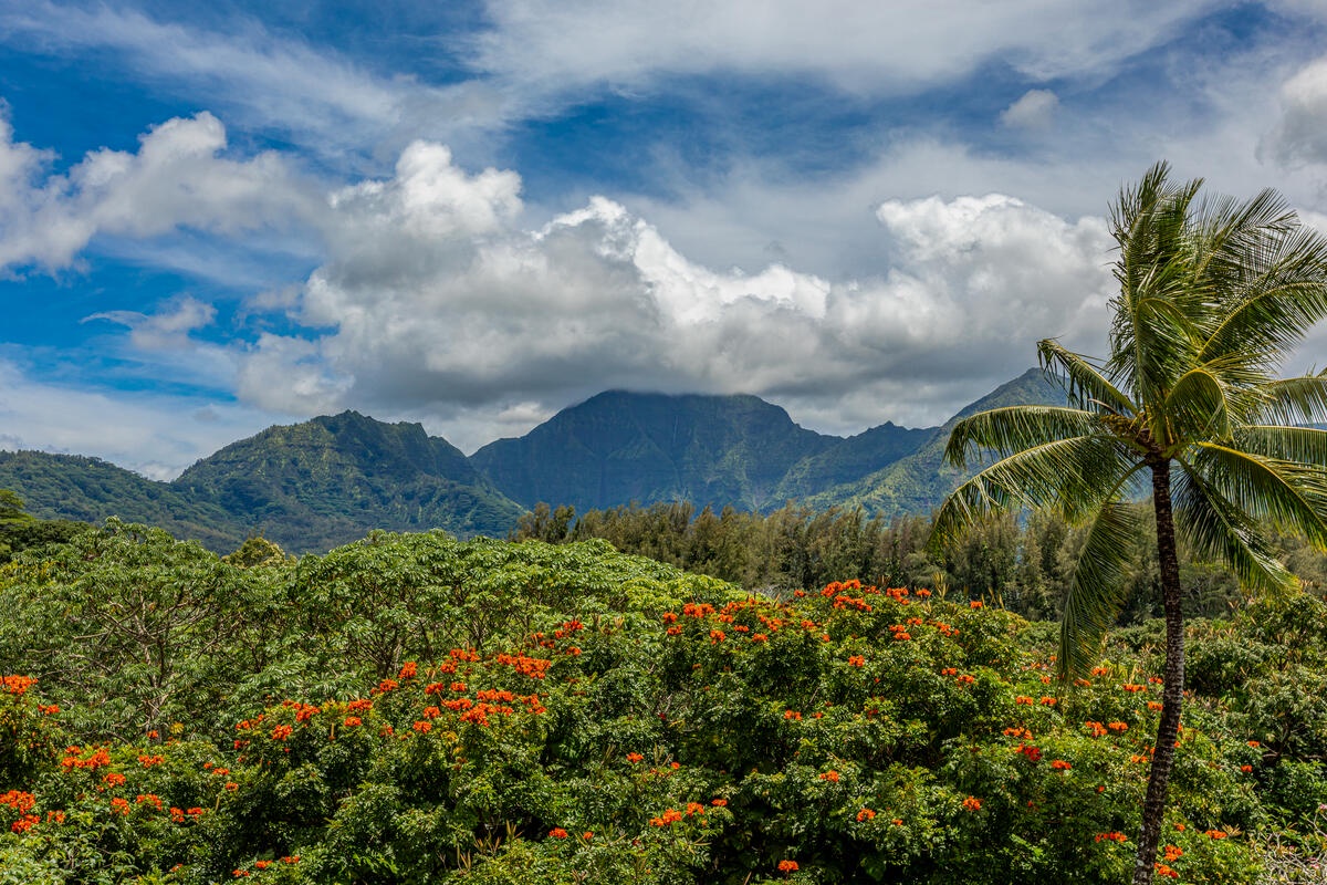 Princeville Vacation Rentals, Hanalei Bay Resort 1535/6 - Soak in lush mountain views while enjoying your morning coffee on the lanai.