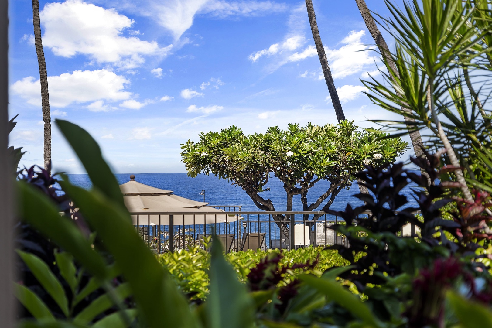 Kailua Kona Vacation Rentals, Kona Makai 2103 - Views from the Lanai!