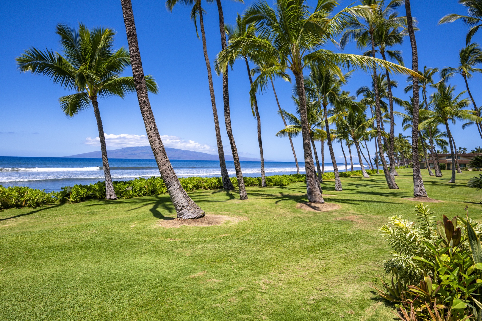 Lahaina Vacation Rentals, Puamana 240-3 - Indulge in luxurious relaxation on your private lanai, steps from the beach.