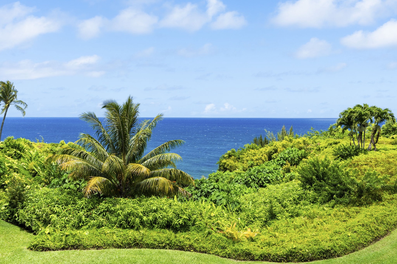 Princeville Vacation Rentals, Alii Kai 7201 - Tropical greenery gives way to the deep blue that defines this coast.