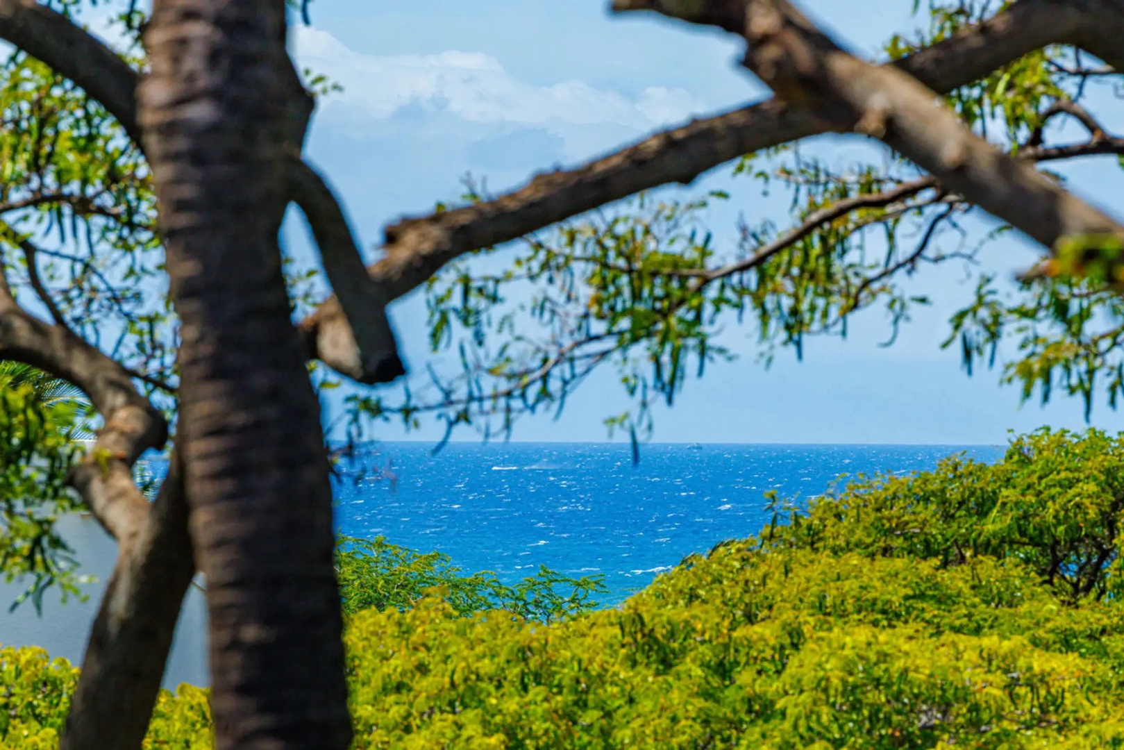 Kihei Vacation Rentals, Maui Vista 2420 - Blue water stretches wide past the greenery, the kind of quiet horizon that slows you down.