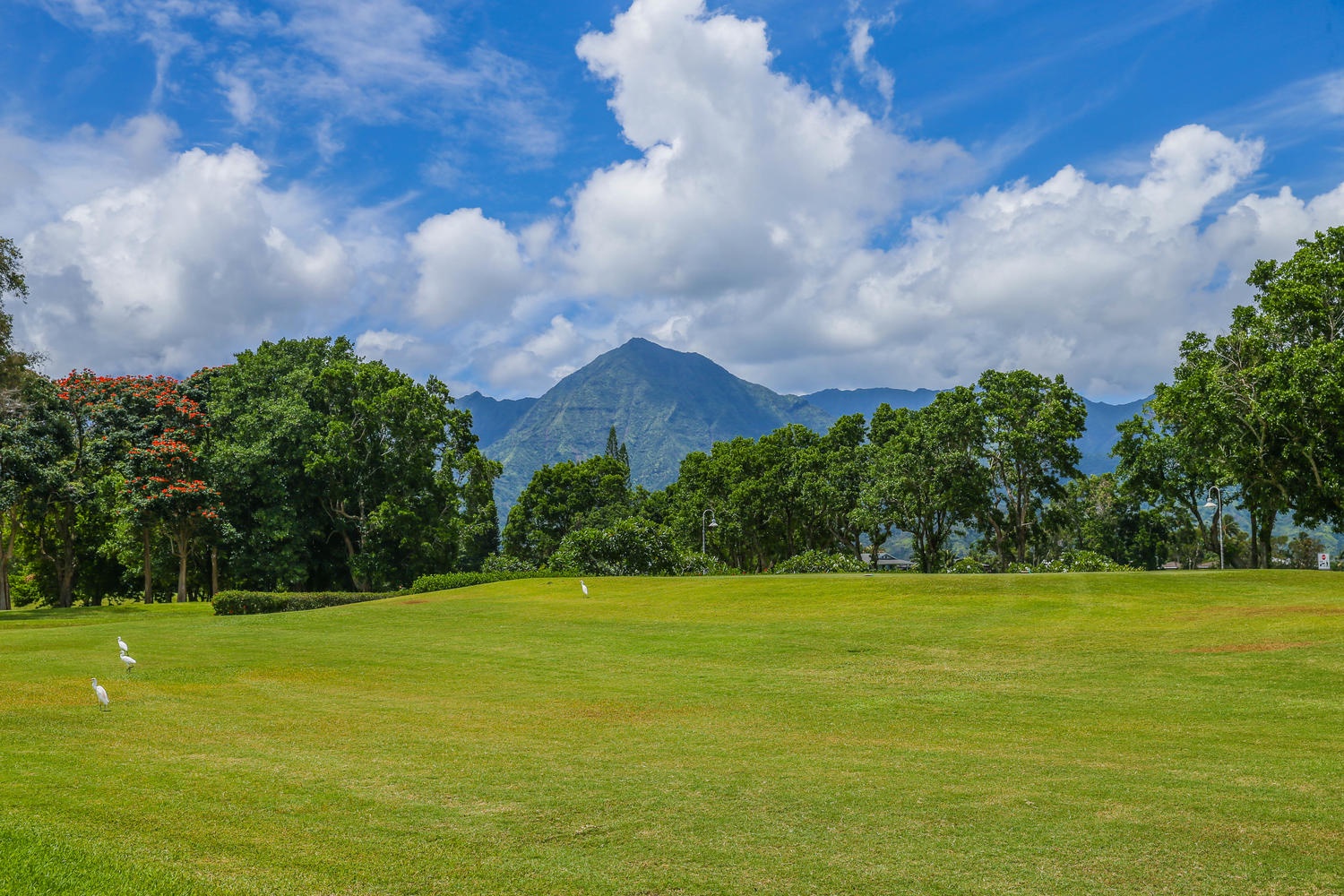 Princeville Vacation Rentals, Half Moon Hana - So much scenery!