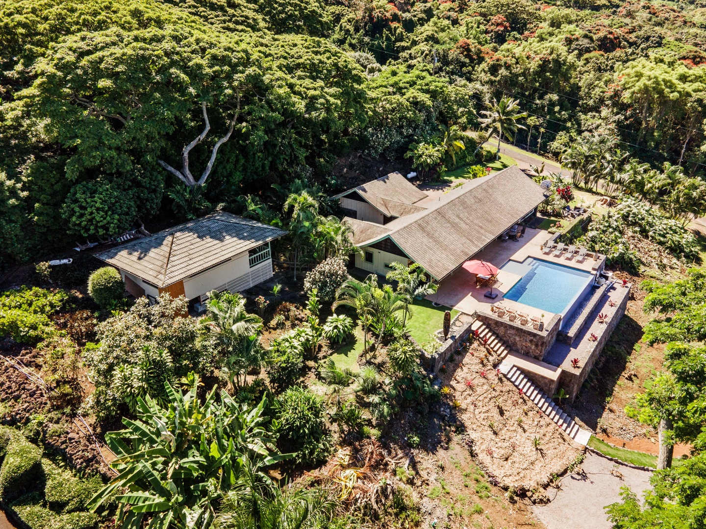 Kailua-Kona Vacation Rentals, Hale Joli - Private tropical estate nestled in lush jungle surroundings with swimming pool and extensive landscaping.