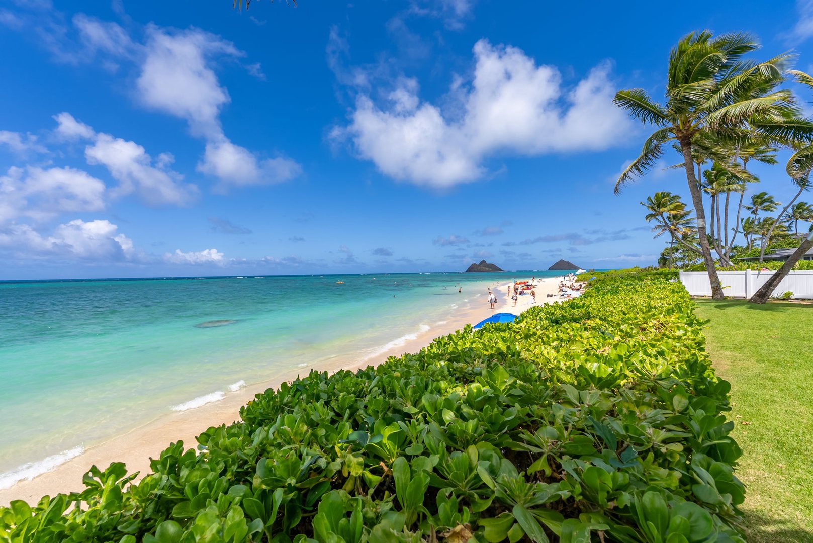 Kailua Vacation Rentals, Lanikai Sunrise Estate - A tropical beachfront path leads you to turquoise waters for swimming, kayaking, or paddleboarding.