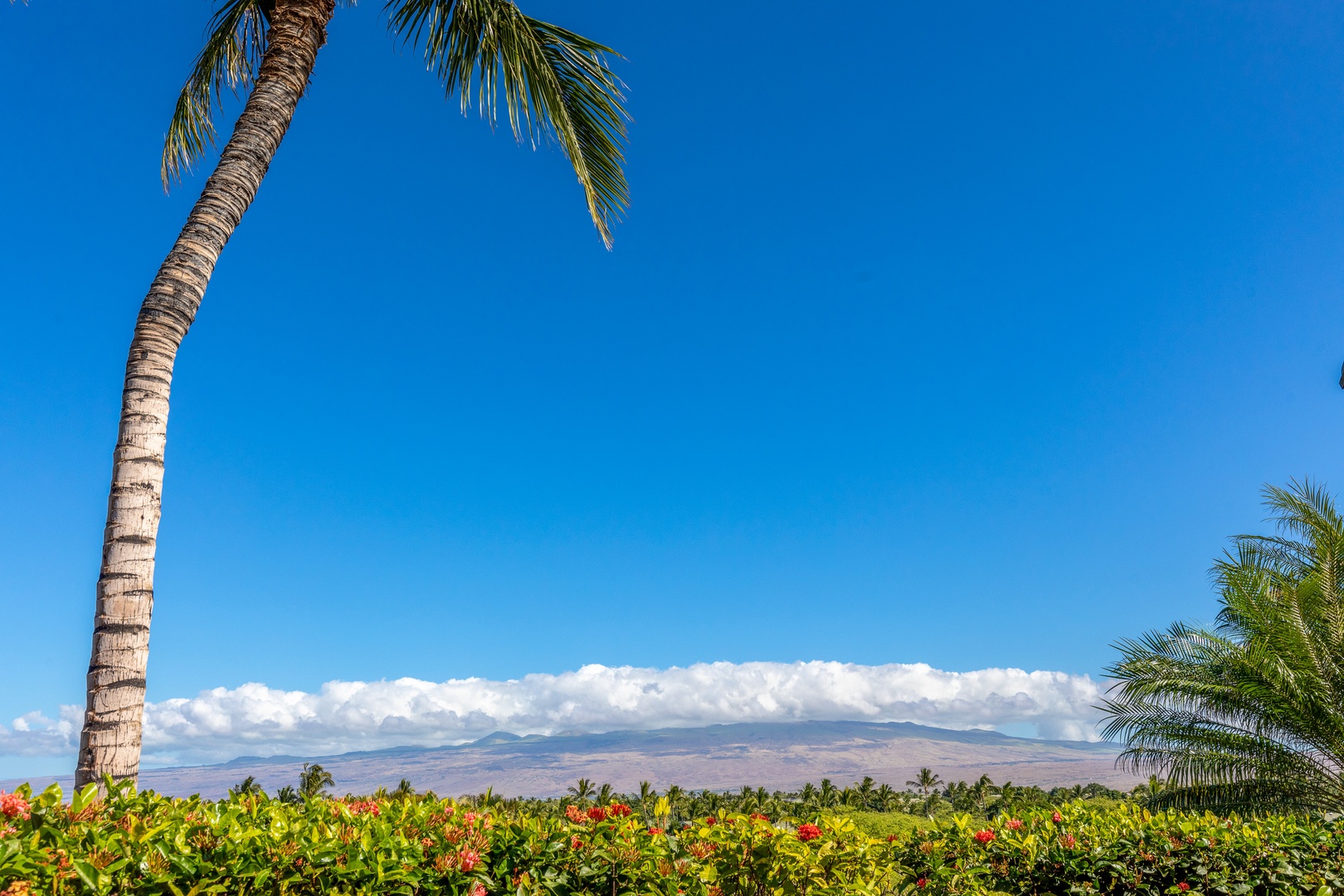 Kamuela Vacation Rentals, Champion Ridge Home - Endless blue skies and ocean views frame your tropical getaway.