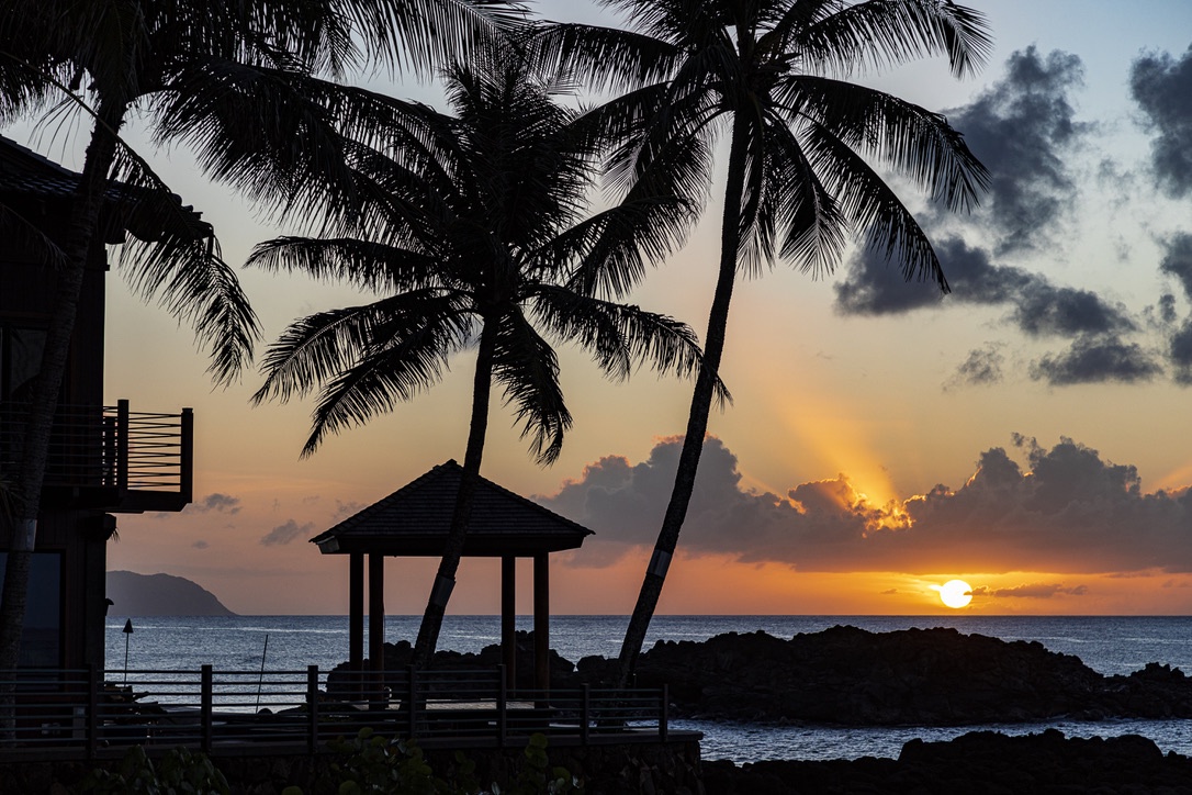 Haleiwa Vacation Rentals, Samurai House - Capture unforgettable moments with stunning sunset views framed by palm trees.