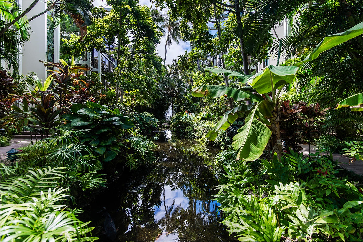 Honolulu Vacation Rentals, Kahala Beachfront Villa - Enjoy the well-maintained tropical gardens at The Kahala Beach condos.