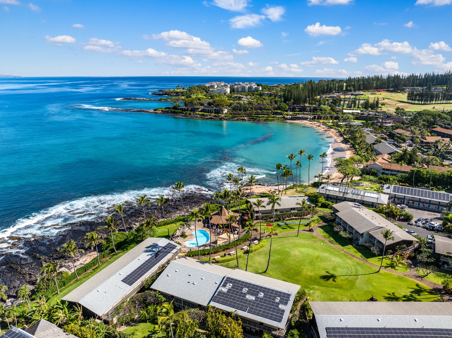 Lahaina Vacation Rentals, Napili Shores F-252 - Napili Shores F-252 offers true oceanfront living just steps from the sand and surf.