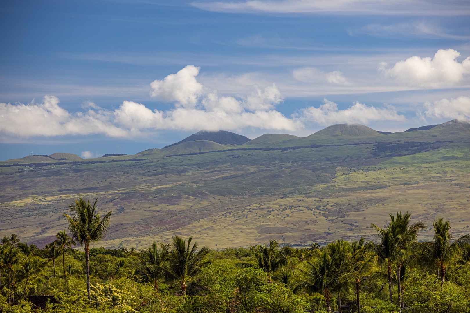 Kamuela Vacation Rentals, Champion Ridge 7 - Marvel at sweeping mountain vistas from nearly every angle on the estate.