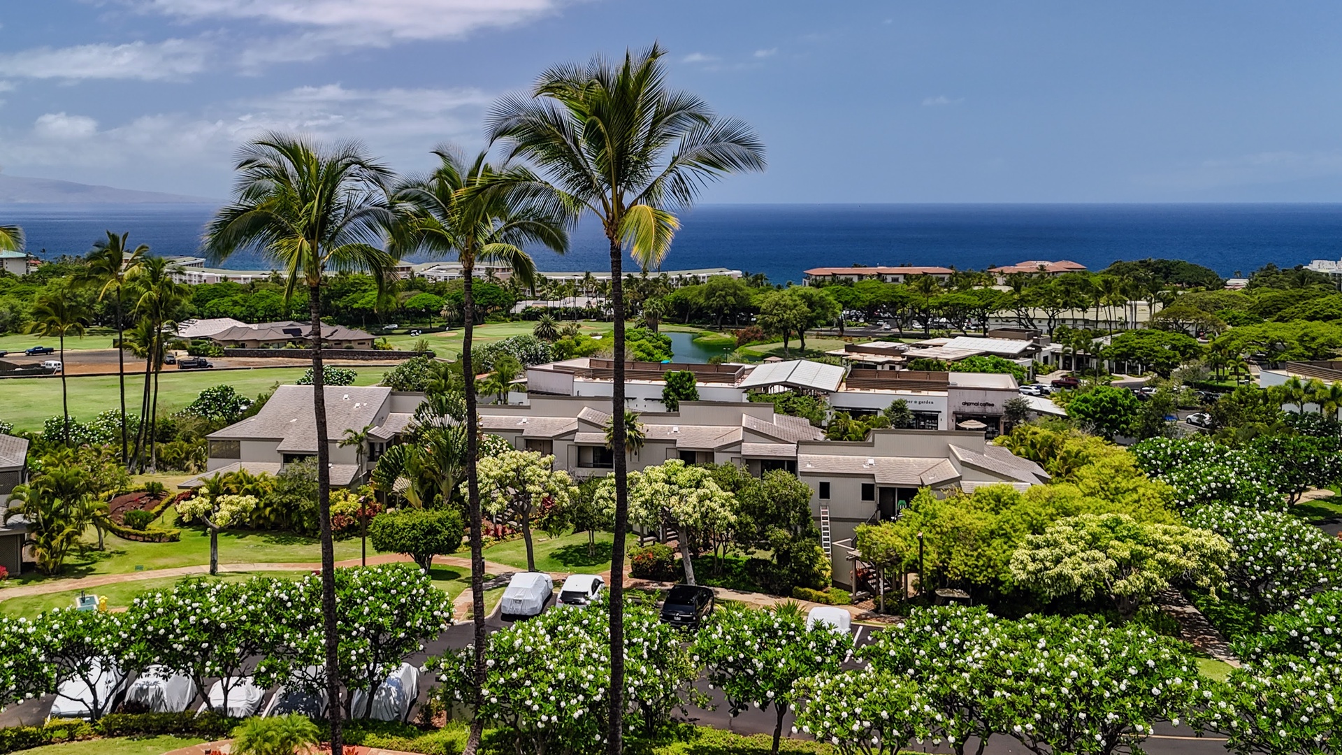 Kihei Vacation Rentals, Wailea Ekolu 204 - Three coconut palms frame the shot, white plumeria hedges below and the ocean holding steady past the rooftops.