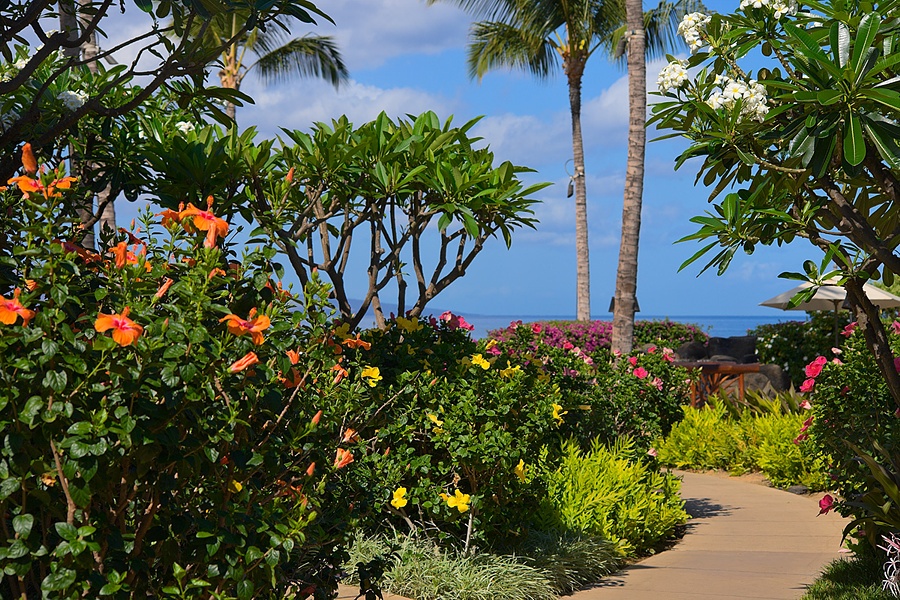 Wailea Vacation Rentals, Pacific Paradise Suite J505 at Wailea Beach Villas* - Beautiful Gardens with Brightly Colored Flowers Throughout Wailea Beach Villas