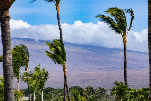 Kamuela Vacation Rentals, Canoe House & Beach Walker at Champion Ridge - Views of the Kohala Mountains