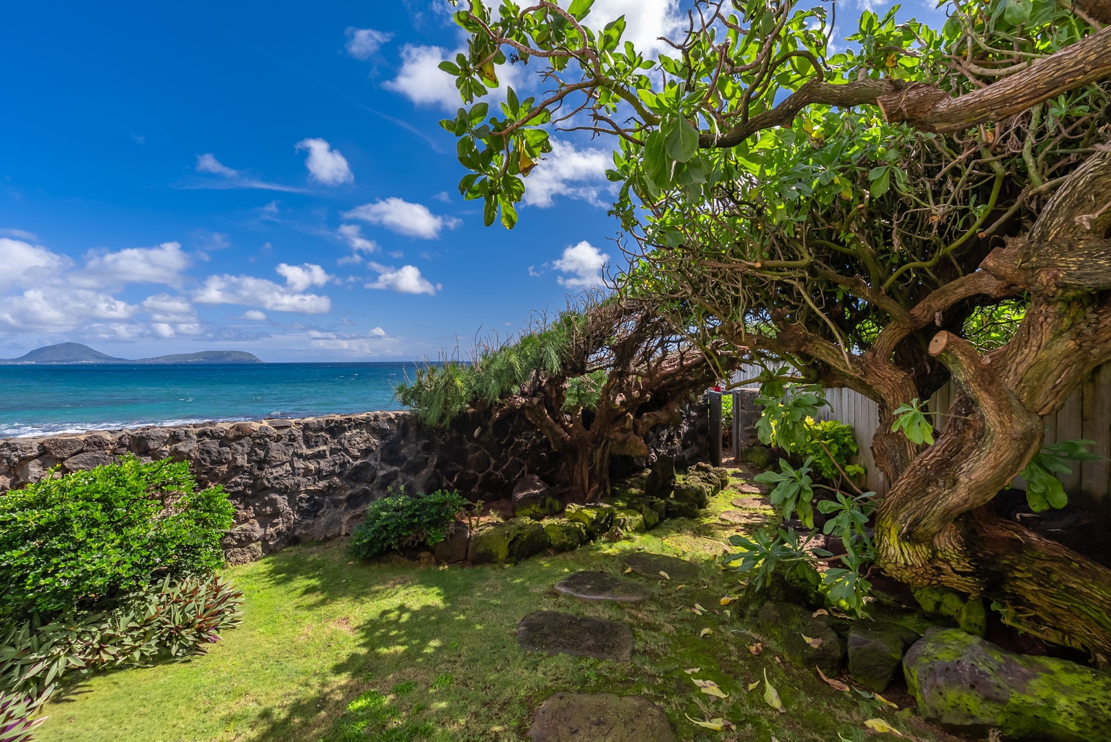 Honolulu Vacation Rentals, Black Point Ocean Villa - Oceanfront garden paradise with ancient stone walls and mature trees creating your private coastal sanctuary.