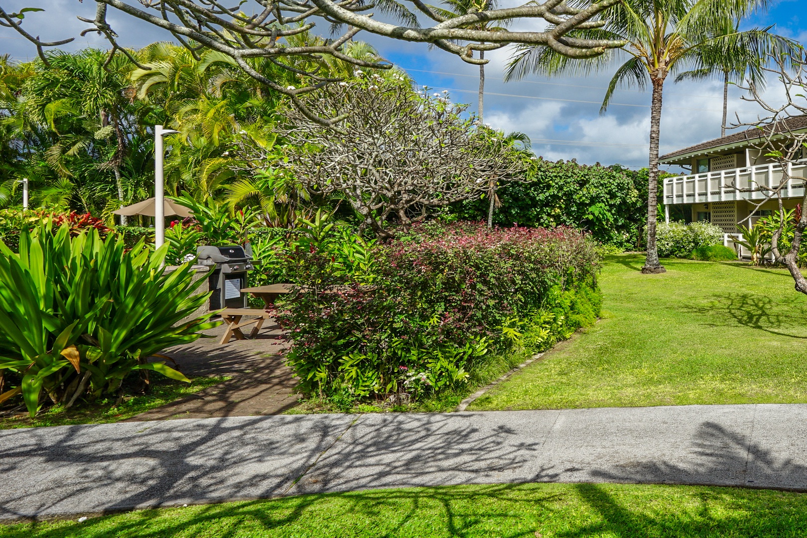 Kapaa Vacation Rentals, Nani Hale - Natural landscaping for a stroll